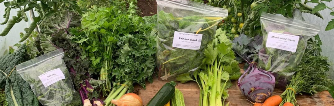 Food Growers Collective Launch at Tyninghame