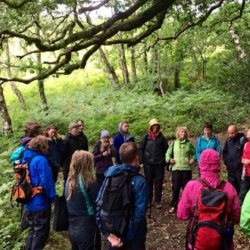 Being Nature: Body, Awareness, Ecology