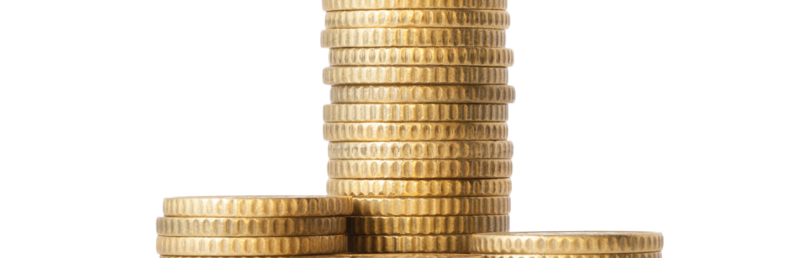 Making sense of the money: Scrutiny of medium-term council finance