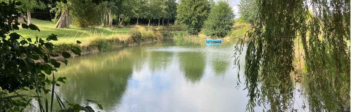 Paddleboard session at Yoke Hill