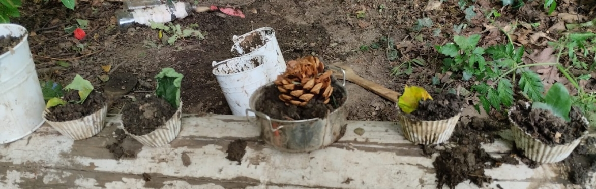 Picture shows mud kitchen creations
