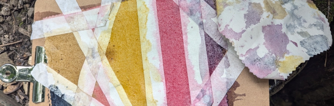 Natural Dyes Workshop with Charlie Hill