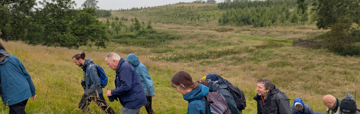 Walk on the Wild Side with Professor Alastair Driver - Free Community Event