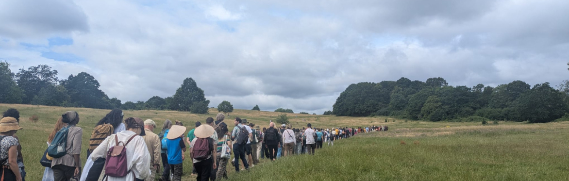 Hiking Zen on Hampstead Heath in July