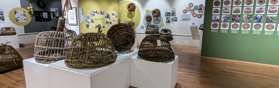 An exhibition of withy pots