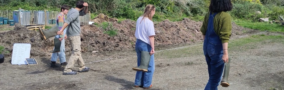 Welly wanging