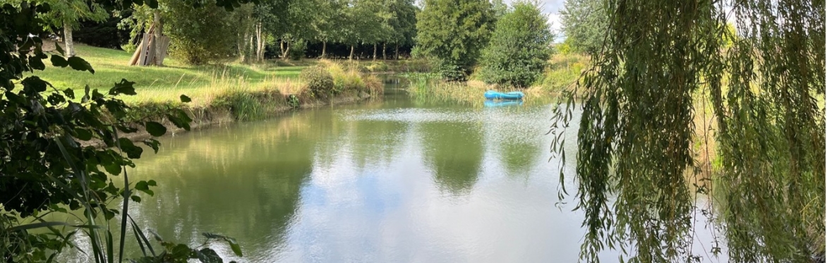 Paddleboard session at Yoke Hill