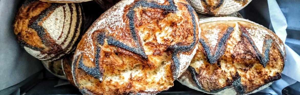 Introduction to Sourdough Bread Baking