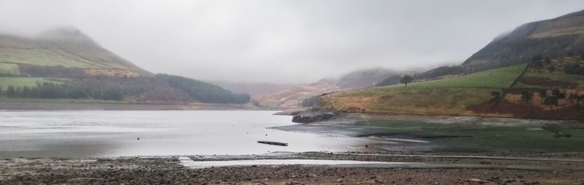Expressive Watercolour, Workshop Two - Misty Dovestone