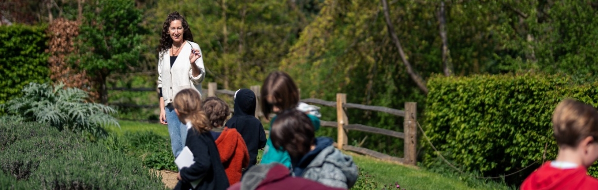 Wild Willow Art Club for Children: Full Course
