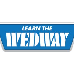 Learn the WEDway: Master the Art of Painting from Disney & Lorcana Artist James Mulligan
