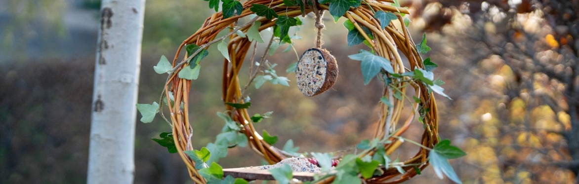 The Regenerative Garden: Nature-crafts and Biochar with John Gaffney