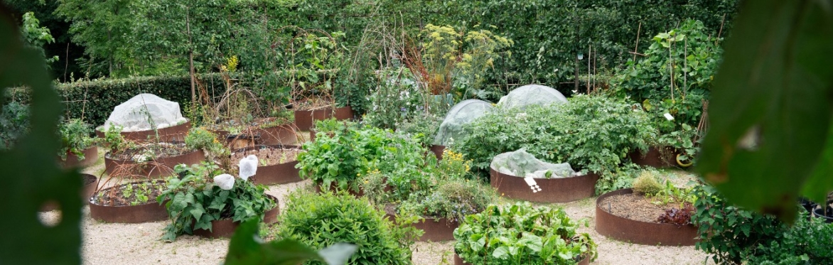 The Regenerative Garden: Full Course