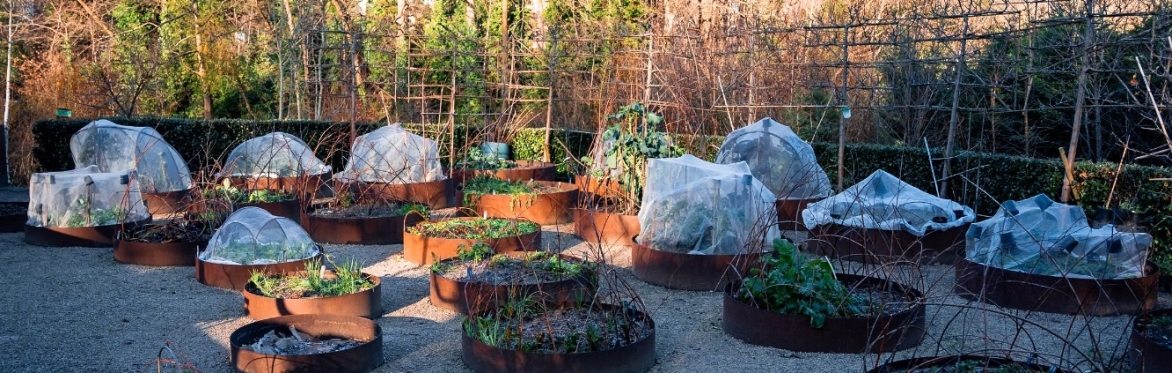 OmVed Gardens: November Open Day