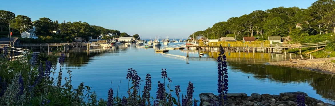 Harvest Dinner and Wine Pairing Fundraiser @ The Contented Sole