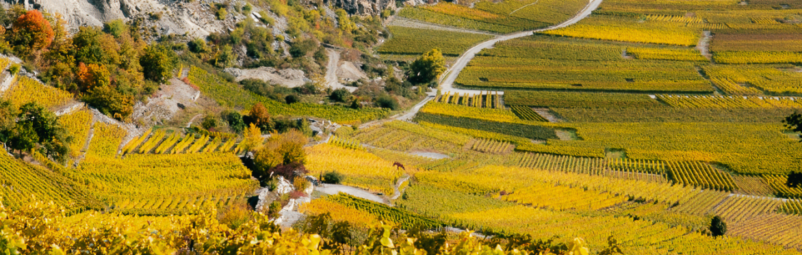 67 Tasting Room - Copains Valaisans