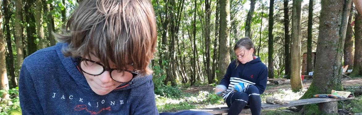 Tribe TREBORTH - Noson yn y coed i bobl ifanc 12+/ Evening in the woods for young people aged 12+