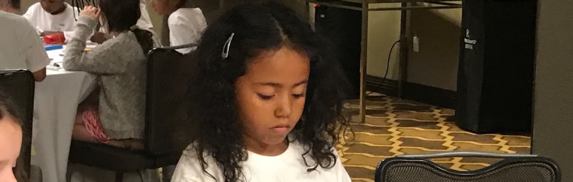 Mini Camp Congress for Girls Providence 2027