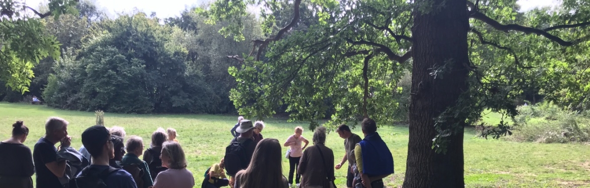 Heritage Trees of Frome - Walking Festival