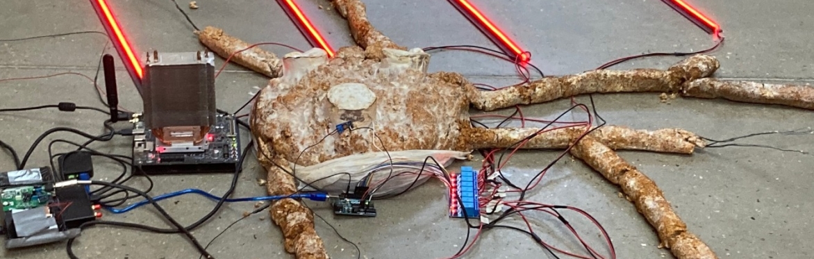Interference Spores | Becoming Octopus