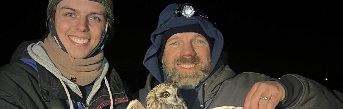 Where the Owls Go--Short-eared Owl webinar with Andy Brown & Alex Pellegrini