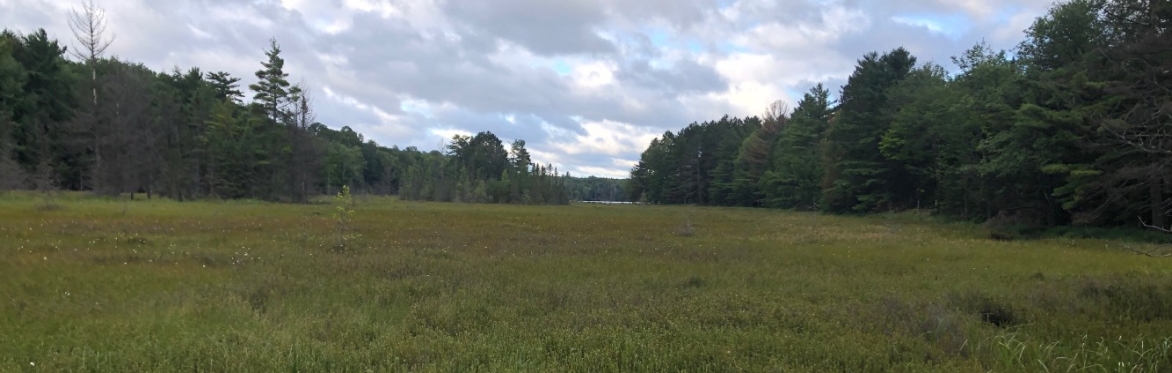 Nature Teaching Strategies for All Ages (Retreat + Course Combo!)