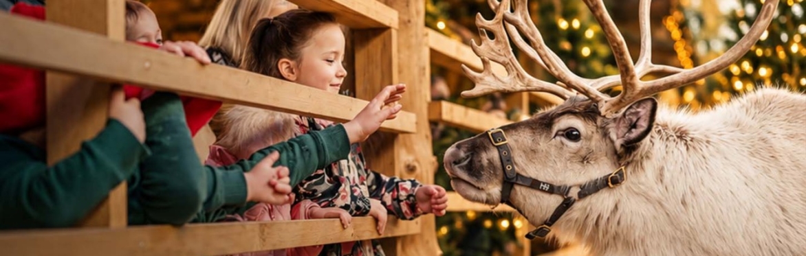 Reindeer Meet & Greet 2026