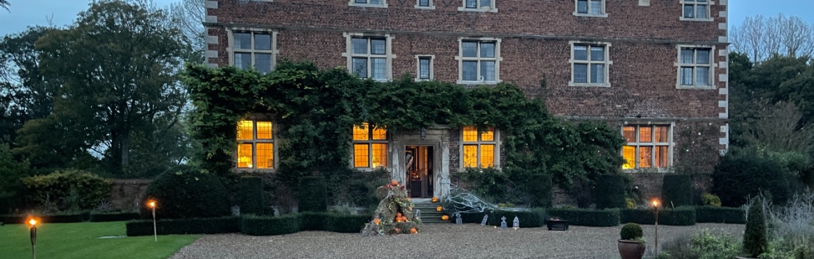 Halloween Afternoon Tea