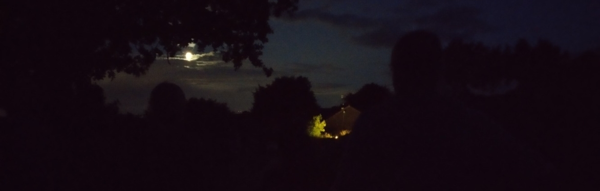 Midsummer Moth Trap and Evening Nature Walk