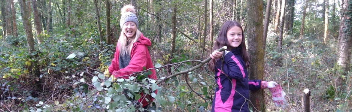 Autumn Conservation Weekend 2025