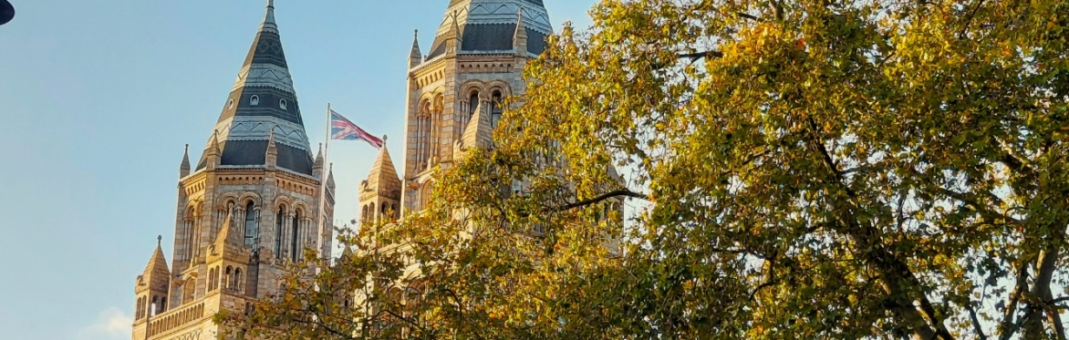 Carbon Literacy Training for Senior Leaders in the South Ken Cultural Quarter