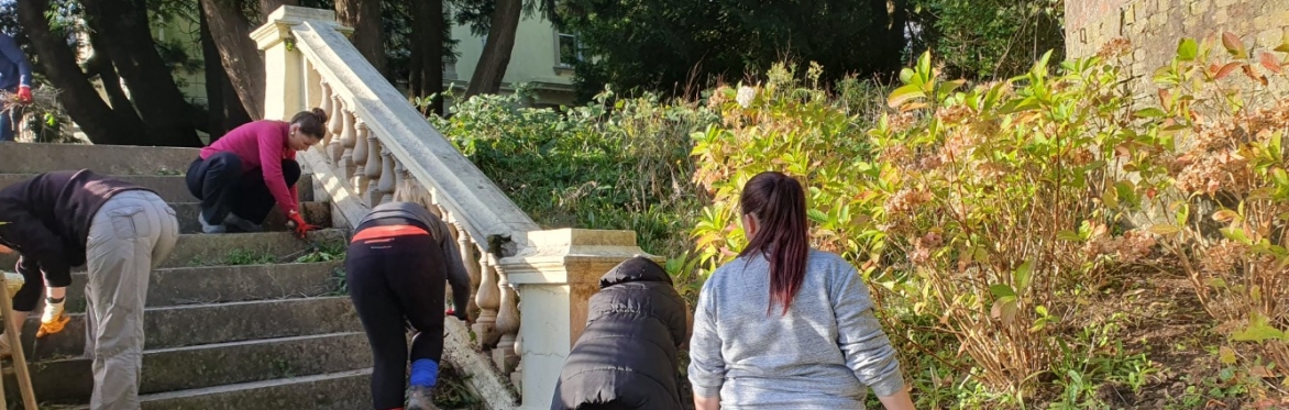 Central Park Practical work