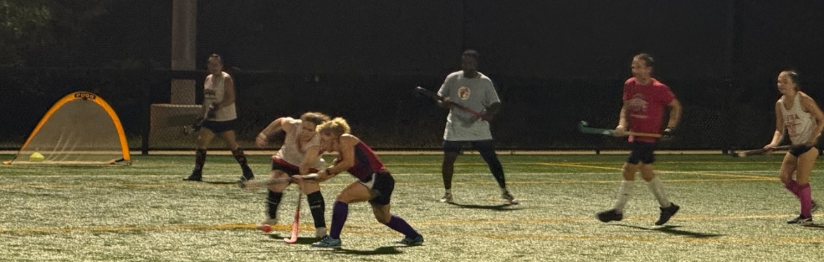 Play during a WFHA pickup session