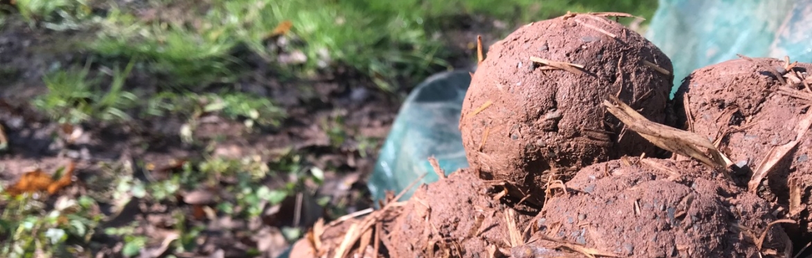 Introduction to Cob Building with Louise Southwell