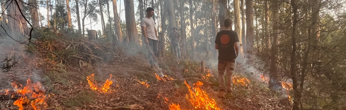 Weaving Good Fire