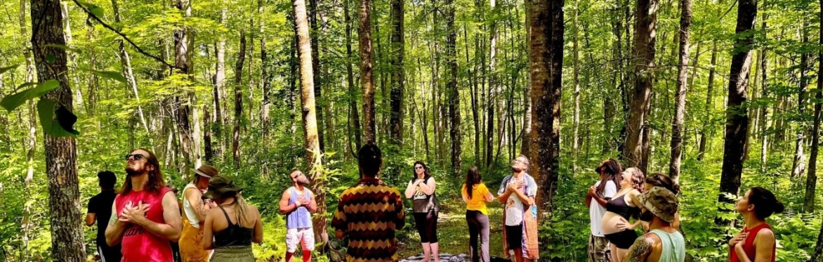Forest Bathing Experience at Riverwood Conservancy