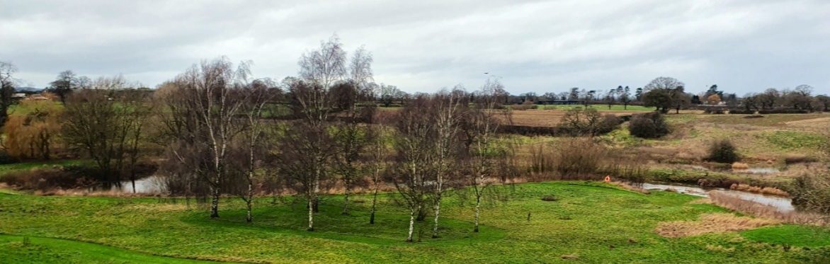 Alvaston Hall Invertebrate Recording Day