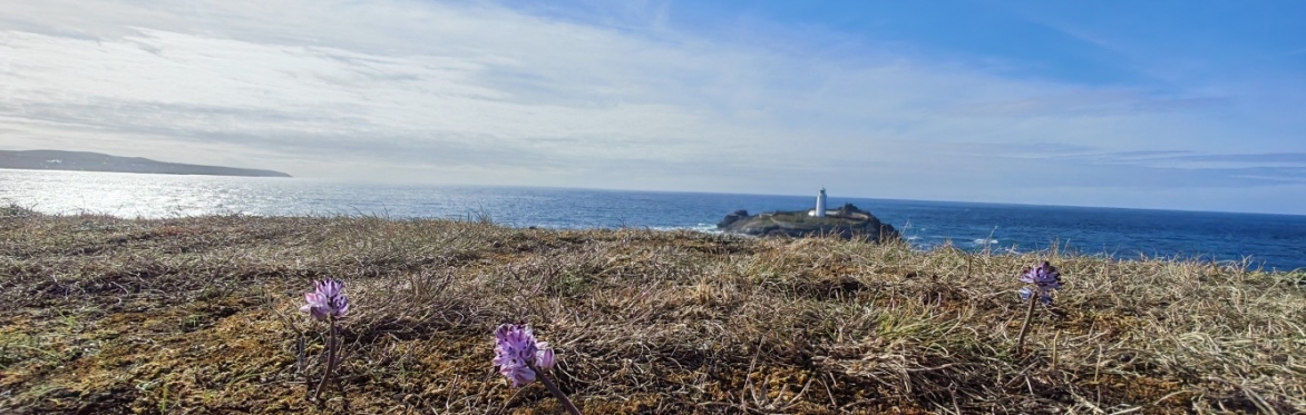 Winter Talk: Is there a future for field guides: thoughts from Harrap’s Wild Flowers, with Simon Harrap