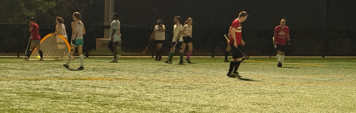 Play during a WFHA pickup session