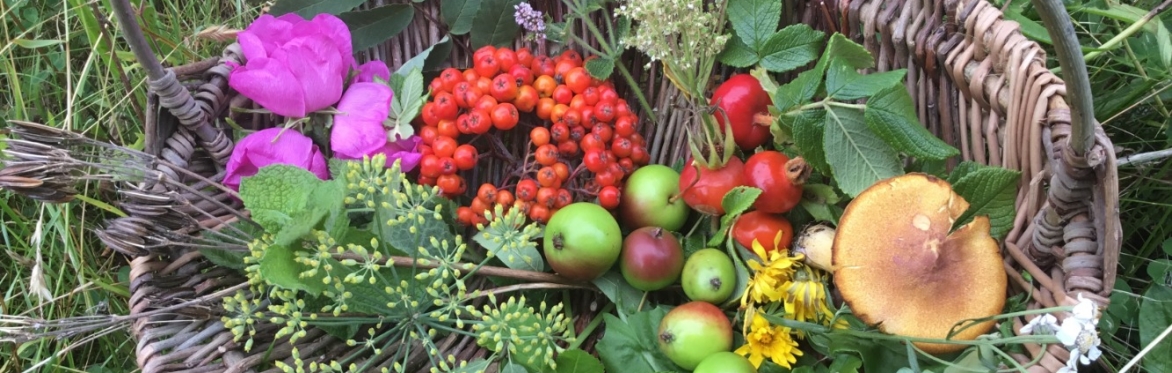 Foraging for Fun