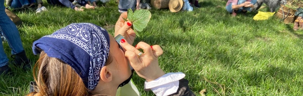 Summer Foraging Walk - Hampstead Heath, London