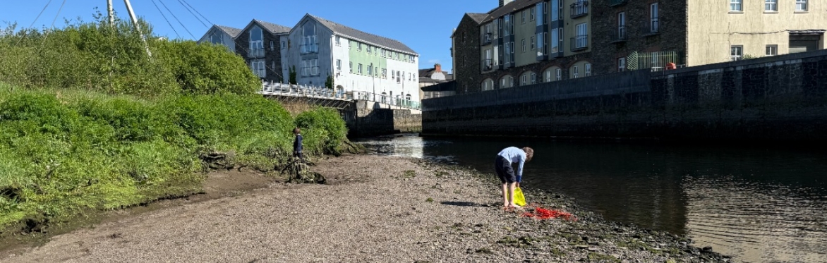 Biodiversity & Water Quality Monitoring Workshops – Ilen River Catchment