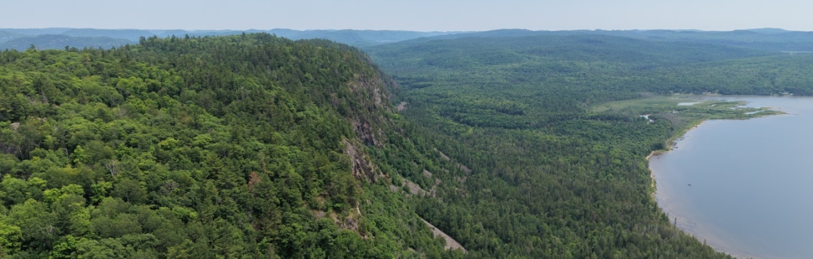 Ecological Corridors and Environmental Problem Solving