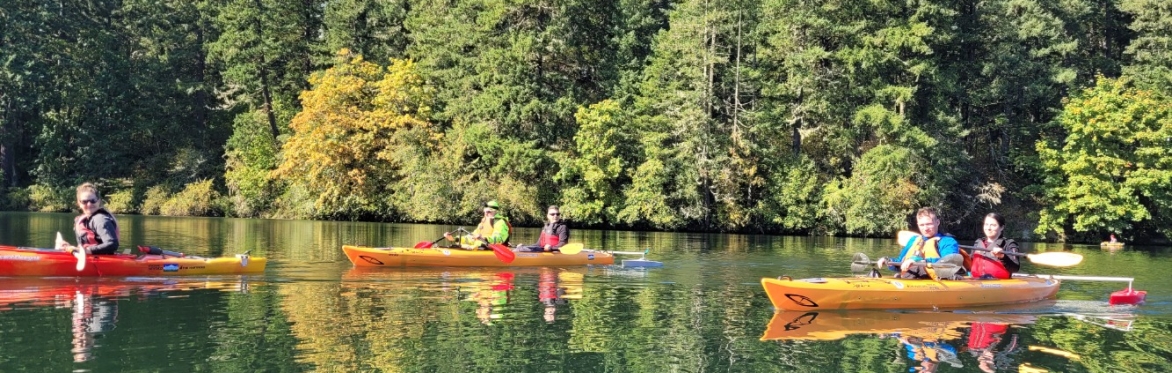 Fall Foliage Kayak Tour