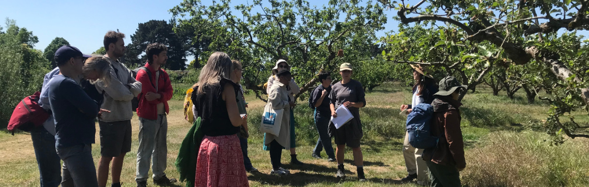 A group of students stand near Wisley orchard on a sunny day