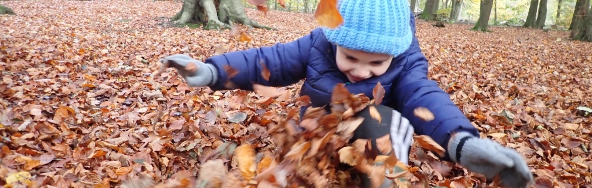 Mini Explorers: For 0-4s and their Grown-Ups!