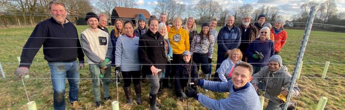 Woodfine Wine - Volunteer day