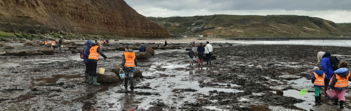 Families explore the rock pools around Skinningrove with the team from Land of Iron.