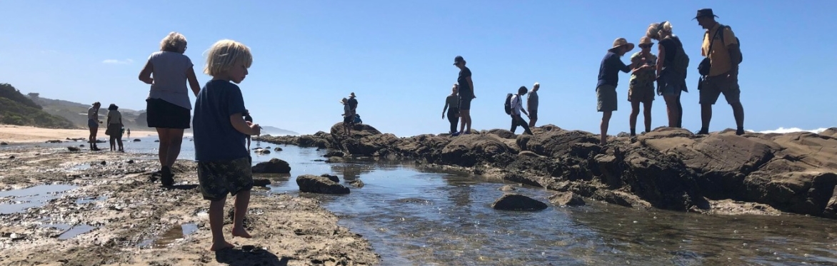 Echinoderm Workshop