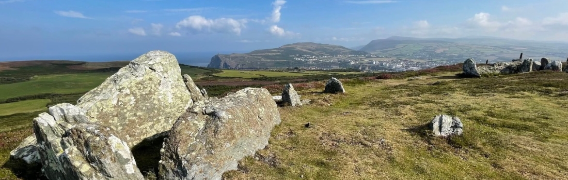 Meditation at the Meayll Circle